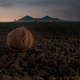 Illustration for article titled Sobering Images Show Famous World War I Battle Sites A Century Later